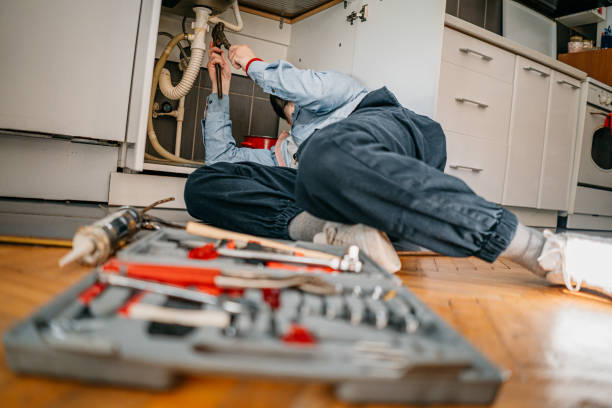 Best Emergency Plumber  in Darien, WI