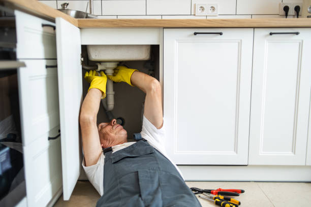 Best Clogged Drain Plumber  in Darien, WI